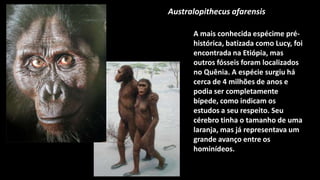 Australopithecus afarensis

      A mais conhecida espécime pré-
      histórica, batizada como Lucy, foi
      encontrada na Etiópia, mas
      outros fósseis foram localizados
      no Quênia. A espécie surgiu há
      cerca de 4 milhões de anos e
      podia ser completamente
      bípede, como indicam os
      estudos a seu respeito. Seu
      cérebro tinha o tamanho de uma
      laranja, mas já representava um
      grande avanço entre os
      hominídeos.
 