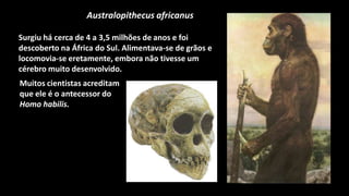 Australopithecus africanus

Surgiu há cerca de 4 a 3,5 milhões de anos e foi
descoberto na África do Sul. Alimentava-se de grãos e
locomovia-se eretamente, embora não tivesse um
cérebro muito desenvolvido.
Muitos cientistas acreditam
que ele é o antecessor do
Homo habilis.
 