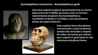 Australopithecus anamensis - Australopithecus garhi

         Estas duas espécies surgiram aproximadamente na mesma
         época (cerca de 4 milhões de anos) e eram os menores
         representantes do gênero dos Australopithecus.
         Localizados no Quênia e na Etiópia, eram descendentes
         diretos da espécie Afarensis.
                               Estas espécies foram descobertas
                               recentemente e ainda há diversos
                               estudos não concluídos a respeito
                               de ambas. Há teorias que indicam
                               que a espécie A. garhi pode ter sido
                               antecessora do gênero Homo.
 