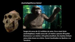 Australopithecus boisei




  Surgiu há cerca de 2,5 milhões de anos. Era o mais forte
  australopiteco: media cerca de 1,4 metro e pesava 49 quilos
  (homens) e 1,1 metro e 34 quilos (mulher). Os machos tinham
  uma crista óssea no crânio. Foram localizados no Quênia e na
  Tanzânia.
 