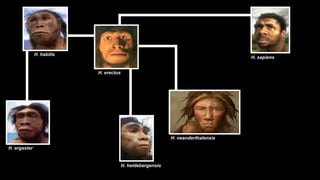 H. habilis
                                                                                  H. sapiens


                           H. erectus




                                                            H. neanderthalensis

H. ergaster


                                        H. heidebergensis
 
