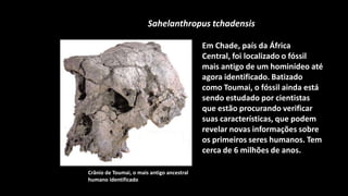 Sahelanthropus tchadensis

                                            Em Chade, país da África
                                            Central, foi localizado o fóssil
                                            mais antigo de um hominídeo até
                                            agora identificado. Batizado
                                            como Toumai, o fóssil ainda está
                                            sendo estudado por cientistas
                                            que estão procurando verificar
                                            suas características, que podem
                                            revelar novas informações sobre
                                            os primeiros seres humanos. Tem
                                            cerca de 6 milhões de anos.

Crânio de Toumai, o mais antigo ancestral
humano identificado
 