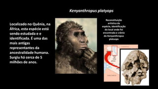 Kenyanthropus platyops

                                                Reconstituição
Localizado no Quênia, na                         artística da
                                            espécie, identificação
África, esta espécie está                      do local onde foi
sendo estudada e e                           encontrada e crânio
                                              do Kenyanthropus
identificada. É uma das                            platuops
mais antigas
representantes da
ancestralidade humana.
Surgiu há cerca de 5
milhões de anos.
 