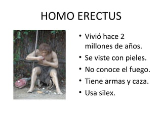 HOMO ERECTUS
     • Vivió hace 2
       millones de años.
     • Se viste con pieles.
     • No conoce el fuego.
     • Tiene armas y caza.
     • Usa silex.
 
