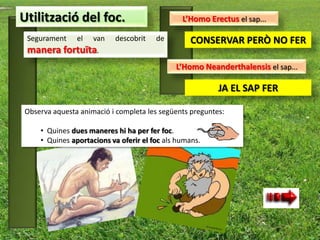 Utilització del foc.                           L’Homo Erectus el sap...

 Segurament    el   van   descobrit    de        CONSERVAR PERÒ NO FER
 manera fortuïta.
                                             L’Homo Neanderthalensis el sap...

                                                         JA EL SAP FER

Observa aquesta animació i completa les següents preguntes:

    • Quines dues maneres hi ha per fer foc.
    • Quines aportacions va oferir el foc als humans.
 