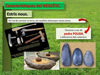 Característiques del NEOLÍTIC.
Estris nous.
 Per tal de conrear la terra, els neolítics dissenyen noves eines.


                                                           Passaran a ser de
                                                          pedra POLIDA,
                                                      a diferència dels anteriors.
 