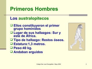 Primeros Hombres Los  australopitecos Ellos constituyeron el primer grupo homínidos Lugar de sus hallazgos: Sur y este de África.  Tipo de hallazgo: Restos óseos. Estatura:1,3 metros. Peso:40 kg. Andaban erguidos 