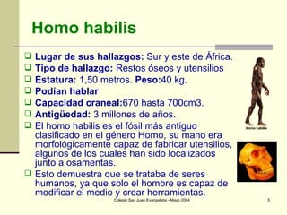 Homo habilis Lugar de sus hallazgos:  Sur y este de África. Tipo de hallazgo:  Restos óseos y utensilios Estatura:  1,50 metros.  Peso: 40 kg. Podían hablar Capacidad craneal: 670 hasta 700cm3. Antigüedad:  3 millones de años.  El homo habilis es el fósil más antiguo clasificado en el género Homo, su mano era morfológicamente capaz de fabricar utensilios, algunos de los cuales han sido localizados junto a osamentas.  Esto demuestra que se trataba de seres humanos, ya que solo el hombre es capaz de modificar el medio y crear herramientas. 