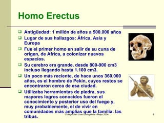 Homo Erectus Antigüedad: 1 millón de años a 500.000 años Lugar de sus hallazgos: África, Asia y Europa Fue el primer homo en salir de su cuna de origen, de Africa, a colonizar nuevos espacios. Su cerebro era grande, desde 800-900 cm3 incluso llegando hasta 1.100 cm3.  Un poco más reciente, de hace unos 360.000 años, es el hombre de Pekín, cuyos restos se encontraron cerca de esa ciudad.  Utilizaba herramientas de piedra, sus mayores logros conocidos fueron el conocimiento y posterior uso del fuego y, muy probablemente, el de vivir en comunidades más amplias que la familia: las tribus. 