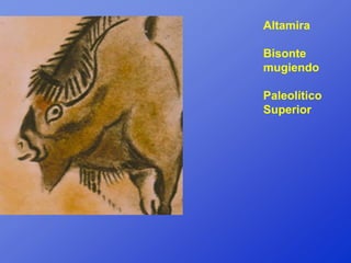 Altamira

Bisonte
mugiendo

Paleolítico
Superior
 