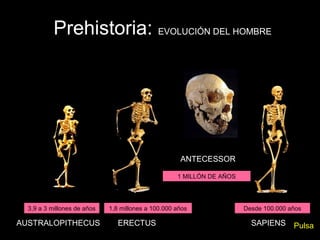 Prehistoria: EVOLUCIÓN DEL HOMBRE




                                                     ANTECESSOR

                                                    1 MILLÓN DE AÑOS




  3,9 a 3 millones de años   1,8 millones a 100.000 años               Desde 100.000 años

AUSTRALOPITHECUS                ERECTUS                                  SAPIENS      Pulsa
 