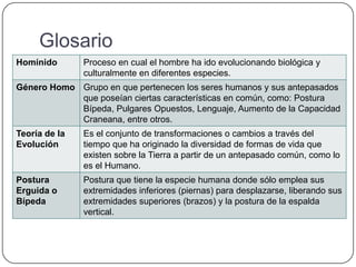 Glosario
Homínido Proceso en cual el hombre ha ido evolucionando biológica y
culturalmente en diferentes especies.
Género Homo Grupo en que pertenecen los seres humanos y sus antepasados
que poseían ciertas características en común, como: Postura
Bípeda, Pulgares Opuestos, Lenguaje, Aumento de la Capacidad
Craneana, entre otros.
Teoría de la
Evolución
Es el conjunto de transformaciones o cambios a través del
tiempo que ha originado la diversidad de formas de vida que
existen sobre la Tierra a partir de un antepasado común, como lo
es el Humano.
Postura
Erguida o
Bípeda
Postura que tiene la especie humana donde sólo emplea sus
extremidades inferiores (piernas) para desplazarse, liberando sus
extremidades superiores (brazos) y la postura de la espalda
vertical.
 