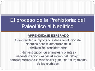 APRENDIZAJE ESPERADO
Comprender la importancia de la revolución del
Neolítico para el desarrollo de la
civilización, considerando:
› domesticación de animales y plantas ›
sedentarización › especialización del trabajo ›
complejización de la vida social y política › surgimiento
de las ciudades.
El proceso de la Prehistoria: del
Paleolítico al Neolítico
 