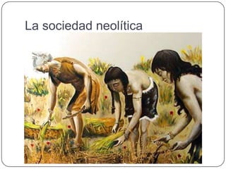 La sociedad neolítica
 