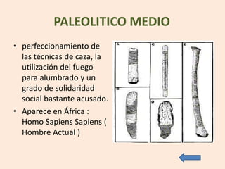 PALEOLITICO MEDIO
• perfeccionamiento de
las técnicas de caza, la
utilización del fuego
para alumbrado y un
grado de solidaridad
social bastante acusado.
• Aparece en África :
Homo Sapiens Sapiens (
Hombre Actual )
 