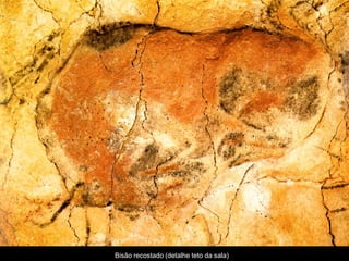 Bisão recostado (detalhe teto da sala)
 
