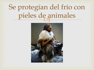 
Se protegían del frío con
pieles de animales
