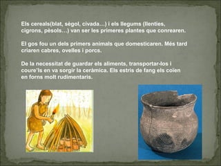 Els cereals(blat, sègol, civada…) i els llegums (llenties,
cigrons, pèsols…) van ser les primeres plantes que conrearen.
El gos fou un dels primers animals que domesticaren. Més tard
criaren cabres, ovelles i porcs.
De la necessitat de guardar els aliments, transportar-los i
coure’ls en va sorgir la ceràmica. Els estris de fang els coïen
en forns molt rudimentaris.
 