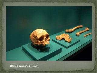 Restes humanes (Gavà)
 