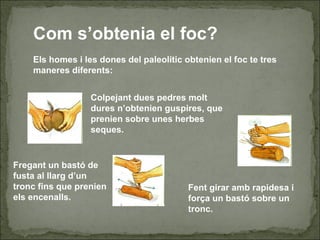 Com s’obtenia el foc?
Els homes i les dones del paleolític obtenien el foc te tres
maneres diferents:
Colpejant dues pedres molt
dures n’obtenien guspires, que
prenien sobre unes herbes
seques.
Fregant un bastó de
fusta al llarg d’un
tronc fins que prenien
els encenalls.
Fent girar amb rapidesa i
força un bastó sobre un
tronc.
 