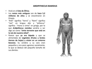 ARDIPITHECUS RAMIDUS
• Vivió en el Este de África.
• Los restos más antiguos son de hace 5,2
millones de años y se encontraron en
Etiopía.
• “Ardi” significa “tierra” y “Rami” significa
“raíz” en lengua afar y "pithecus"
significa “mono o simio” en griego, por lo
que Ardipithecus ramidus vendría a ser
algo así como “simio terrestre que está en
la raíz de nuestro árbol”.
• Parece que ya era bípedo y que se
alimentaba de vegetales (frutos y brotes
tiernos de hojas) y vivían en un entorno
boscoso. Su cerebro y su cara eran
pequeños y era poco agresivo socialmente,
lo que se deduce del pequeño tamaño de
sus dientes.
 