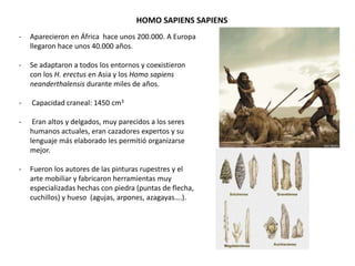 - Aparecieron en África hace unos 200.000. A Europa
llegaron hace unos 40.000 años.
- Se adaptaron a todos los entornos y coexistieron
con los H. erectus en Asia y los Homo sapiens
neanderthalensis durante miles de años.
- Capacidad craneal: 1450 cm3
- Eran altos y delgados, muy parecidos a los seres
humanos actuales, eran cazadores expertos y su
lenguaje más elaborado les permitió organizarse
mejor.
- Fueron los autores de las pinturas rupestres y el
arte mobiliar y fabricaron herramientas muy
especializadas hechas con piedra (puntas de flecha,
cuchillos) y hueso (agujas, arpones, azagayas….).
HOMO SAPIENS SAPIENS
 