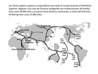 Los Homo sapiens sapiens se expandieron por todo el mundo durante el Paleolítico
Superior: llegaron a las islas de Oceanía navegando con embarcaciones de bambú
hace unos 50.000 años y cruzaron hacia América caminando, a través del Estrecho
de Bering hace unos 15.000 años.
-
 