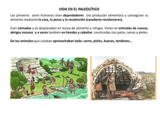 VIDA EN EL PALEOLÍTICO
Los primeros seres humanos eran depredadores (no producían alimentos) y conseguían su
alimento mediante la caza, la pesca y la recolección (cazadores-recolectores).
Eran nómadas y se desplazaban en busca de alimento y refugio. Vivían en entradas de cuevas,
abrigos rocosos y a veces también en tiendas y cabañas construidas con palos, ramas y pieles.
De los animales que cazaban aprovechaban todo: carne, pieles, huesos, tendones…
 