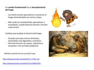 Cambios que produjo el dominio del fuego:
- Se pudo usar para cocinar alimentos,
haciéndolos más digeribles y nutritivos.
- Permitió iluminar las cuevas, calentarse y
ahuyentar a los animales peligrosos.
https://www.youtube.com/watch?v=V_YTac6_bsI
https://www.youtube.com/watch?v=CuTJME53TDc
Un cambio fundamental fue el descubrimiento
del fuego:
- Los Homo erectus aprendieron a conservar el
fuego alimentándolo con ramas y hojas.
- Más tarde los neanderthales aprendieron a
encenderlo, usando diversas técnicas ( fricción
o percusión).
Métodos prehistóricos de encender fuego
 