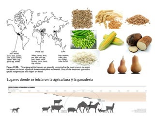 Lugares donde se iniciaron la agricultura y la ganadería
 
