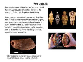 ARTE MOBILIAR
Eran objetos que se podían transportar, como
figurillas, plaquetas grabadas, bastones de
mando… Solían ser de pequeño tamaño.
Las muestras más conocidas son las figurillas
femeninas denominadas Venus esteatopigias,
que se cree que estaban relacionadas con el
culto a la fertilidad. Su rostro apenas tiene
detalle y sus atributos sexuales relacionados
con la maternidad, como pechos y caderas,
aparecen muy marcados.
DIENTE DE CACHALOTE PERFORADO CON BISONTE
GRABADO (CUEVA DE LAS CALDAS, ASTURIAS)
 