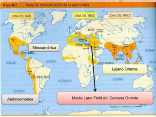 Media Luna Fértil del Cercano Oriente
Lejano Oriente
Mesoamérica
Andinoamérica
 