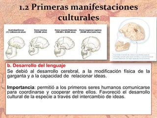 1.2 Primeras manifestaciones
culturales
b. Desarrollo del lenguaje
Se debió al desarrollo cerebral, a la modificación física de la
garganta y a la capacidad de relacionar ideas.
Importancia: permitió a los primeros seres humanos comunicarse
para coordinarse y cooperar entre ellos. Favoreció el desarrollo
cultural de la especie a través del intercambio de ideas.
 