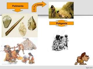 Polimento
I
t
e
rc â
n
m i
b o
Poligamia
 