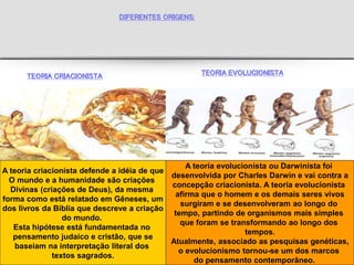 TEORIA CRIACIONISTA
DIFERENTES ORIGENS:
TEORIA EVOLUCIONISTA
A teoria criacionista defende a idéia de que
O mundo e a humanidade são criações
Divinas (criações de Deus), da mesma
forma como está relatado em Gêneses, um
dos livros da Bíblia que descreve a criação
do mundo.
Esta hipótese está fundamentada no
pensamento judaico e cristão, que se
baseiam na interpretação literal dos
textos sagrados.
A teoria evolucionista ou Darwinista foi
desenvolvida por Charles Darwin e vai contra a
concepção criacionista. A teoria evolucionista
afirma que o homem e os demais seres vivos
surgiram e se desenvolveram ao longo do
tempo, partindo de organismos mais simples
que foram se transformando ao longo dos
tempos.
Atualmente, associado as pesquisas genéticas,
o evolucionismo tornou-se um dos marcos
do pensamento contemporâneo.
 