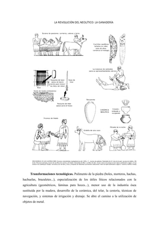 Transformaciones tecnológicas. Pulimento de la piedra (boles, morteros, hachas,
hachuelas, brazaletes...), especialización de los útiles líticos relacionados con la
agricultura (geométricos, láminas para hoces...), menor uso de la industria ósea
sustituida por la madera, desarrollo de la cerámica, del telar, la cestería, técnicas de
navegación, y sistemas de irrigación y drenaje. Se abre el camino a la utilización de
objetos de metal.
 