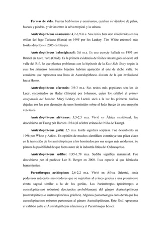 Formas de vida. Fueron herbívoros y omnívoros, cazaban sirviéndose de palos,
huesos y piedras, y vivían entre la selva tropical y la sabana.
Australopithecus anamensis: 4,2-3,9 m.a. Sus restos han sido encontrados en las
orillas del lago Turkana (Kenia) en 1995 por los Leakey. Tim White encontró más
fósiles directos en 2005 en Etiopía.
Australopithecus bahrelghazali: 3,6 m.a. Es una especie hallada en 1995 por
Brunet en Koro Toro (Chad). Es la primera evidencia de fósiles tan antiguos al oeste del
valle del Rift, lo que plantea problemas con la hipótesis de la East Side Story según la
cual los primeros homínidos bípedos habrían aparecido al este de dicho valle. Se
considera que representa una línea de Australopithecus distinta de la que evolucionó
hacia Homo.
Australopithecus afarensis: 3,9-3 m.a. Sus restos más populares son los de
Lucy, encontrados en Hadar (Etiopía) por Johanson, quien los calificó el primer
antepasado del hombre. Mary Leakey en Laetoli sacó a la luz las primeras huellas
dejadas por los pies desnudos de unos homínidos sobre el Iodo fresco de una erupción
volcánica.
Australopithecus africanus: 3,3-2,5 m.a. Vivió en África meridional, fue
descubierto en Taung por Dart en 1924 (el célebre cráneo del Niño de Taung).
Australopithecus garhi: 2,5 m.a. Garhi significa sorpresa. Fue descubierto en
1996 por White y Asfaw. En opinión de muchos científicos constituye una pieza clave
en la transición de los austrolopitecos a los homínidos por sus rasgos más modernos. Se
plantea la posibilidad de que fuera autor de la industria lítica del Olduvayense.
Australopithecus sediba: 1,95-1,78 m.a. Sediba significa manantial. Fue
descubierto por el profesor Lee R. Berger en 2008. Esta especie sí que fabricaba
herramientas.
Paranthropus aethiopicus: 2,6-2,2 m.a. Vivió en África Oriental, tenía
poderosos músculos masticadores que se sujetaban al cráneo gracias a una prominente
cresta sagital similar a la de los gorilas. Los Paranthropus (parántropos o
australopitecinos robustos) descienden probablemente del género Australopithecus
(australopitecos o australopitecinos gráciles). Algunos paleontólogos consideran que los
australopitecinos robustos pertenecen al género Australopithecus. Este fósil representa
el eslabón entre el Australopithecus afarensis y el Paranthropus boisei.
 