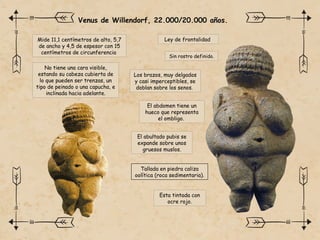 Mide 11,1 centímetros de alto, 5,7
de ancho y 4,5 de espesor con 15
centímetros de circunferencia
No tiene una cara visible,
estando su cabeza cubierta de
lo que pueden ser trenzas, un
tipo de peinado o una capucha, e
inclinada hacia adelante.
Ley de frontalidad
Los brazos, muy delgados
y casi imperceptibles, se
doblan sobre los senos.
El abdomen tiene un
hueco que representa
el ombligo.
El abultado pubis se
expande sobre unos
gruesos muslos.
Esta tintada con
ocre rojo.
Venus de Willendorf, 22.000/20.000 años.
Tallada en piedra caliza
oolítica (roca sedimentaria).
Sin rostro definido.
 