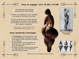 Venus de Lespugue, entre 26.000 y 24.000.
Estatuilla de marfil de 14,7 cm
Ciertas partes de la anatomía
exageradamente desarrolladas:
Es obesa, con el abdomen, la vulva, las nalgas
y las mamas extremadamente grandes.
El resto de las partes del cuerpo aparecen
desdibujadas: los brazos son muy pequeños,
los pies apenas se les ven y la cara suele ser,
por lo general, inexistente.
• La esteatopigia es la condición por la cual
se acumulan grandes cantidades de grasa
en las nalgas. Es más frecuente en mujeres
que en hombres.
• Tradicionalmente, ha sido asociada a la
fertilidad, tal y como se observa en la
Venus de Willendorf.
• En tribus africanas es algo habitual debido
a su adaptación para evitar pérdidas de
calor del resto del cuerpo.
Venus denominada esteatopigia: Mujer africana con
esteatopigia
Hallada en la cueva de Les Rideaux, en Lespugue (Francia).
 
