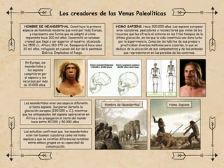 Los creadores de las Venus Paleolíticas
HOMBRE DE NEANDERTHAL. Constituye la primera
especie de homínido moderna que vivió por toda Europa,
y representa una forma que se adaptó al clima
imperante hace 300 mil años. Desarrolló un volumen
craneal que llegó a ser superior al nuestro, alcanzado
los 1500 cc. Altura 160-170 cm. Desapareció hace unos
30 mil años, refugiado en cuevas del sur de la península
Ibérica. Empleaban el fuego.
HOMO SAPIENS. Hace 200.000 años. Los sapiens europeos
eran cazadores, pescadores y recolectores que vivían de los
recursos que les ofrecía el entorno en los fríos tiempos de la
última glaciación, en los que la vida constituía una dura lucha
por la supervivencia. Conocían los hábitos de sus presas y
practicaban diversos métodos para cazarlas, lo que se
deduce de la ubicación de sus campamentos y de los animales
que representaron en las paredes de las cavernas.
Hombre de Neanderthal Homo Sapiens
En Europa, los
neandertales y
los sapiens
compitieron por
el espacio y los
recursos por más
de 10.000 años.
Los estudios confirman que los neandertales
eran tan buenos cazadores como los homo
sapiens y que no existían diferencias notables
entre ambos grupos en su capacidad de
comunicación.
Los neandertales eran una especie diferente
al homo sapiens. Surgieron durante la
glaciación europea (230.000 a. C.), mientras
que los antepasados del sapiens aparecieron en
África y se propagaron al resto del mundo
hace entre 40.000 y 50.000 años.
 