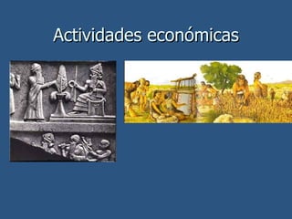 Actividades económicas 