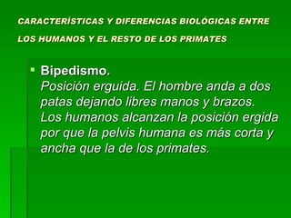 CARACTERÍSTICAS Y DIFERENCIAS BIOLÓGICAS ENTRE

LOS HUMANOS Y EL RESTO DE LOS PRIMATES



   Bipedismo.
    Posición erguida. El hombre anda a dos
    patas dejando libres manos y brazos.
    Los humanos alcanzan la posición ergida
    por que la pelvis humana es más corta y
    ancha que la de los primates.
 