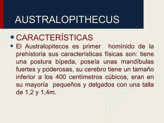 AUSTRALOPITHECUS
•CARACTERÍSTICAS
• El Australopitecos es primer homínido de la
prehistoria sus características físicas son: tiene
una postura bípeda, poseía unas mandíbulas
fuertes y poderosas, su cerebro tiene un tamaño
inferior a los 400 centímetros cúbicos, eran en
su mayoría pequeños y delgados con una talla
de 1,2 y 1,4m.
 
