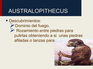 AUSTRALOPITHECUS
• Descubrimientos:
Dominio del fuego,
 Rozamiento entre piedras para
pulirlas obteniendo a si unas piedras
afiladas o lanzas para la caza.
 