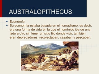 AUSTRALOPITHECUS
• Economía
• Su economía estaba basada en el nomadismo; es decir,
era una forma de vida en la que el homínido iba de una
lado a otro sin tener un sitio fijo donde vivir, también
eran depredadores, recolectaban, cazaban y pescaban.
 
