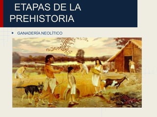 ETAPAS DE LA
PREHISTORIA
• GANADERÍA NEOLÍTICO
 