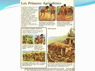 Prehistoria2