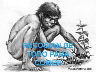 RECOGIAN DE TODO PARA COMER