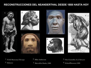 RECONSTRUCCIONES DEL NEANDERTHAL DESDE 1888 HASTA HOY 