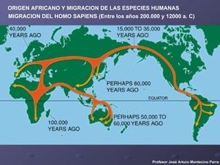 ORIGEN AFRICANO Y MIGRACION DE LAS ESPECIES HUMANAS MIGRACION DEL HOMO SAPIENS (Entre los años 200.000 y 12000 a. C) Profesor José Arturo Montecino Parra 